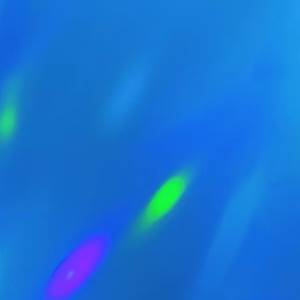 Elite Agency Elite Agency